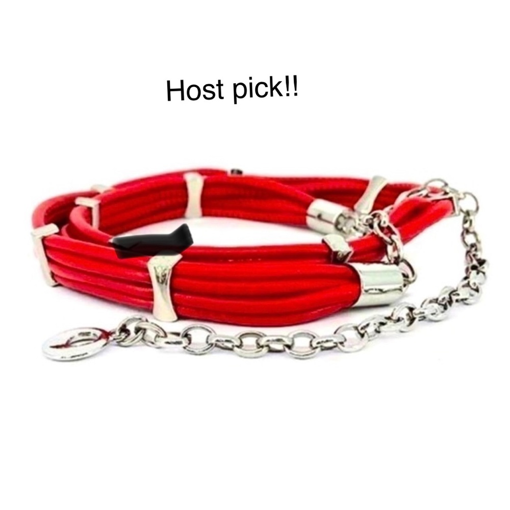 HOST PICK!! New!! Callie Lives Silver Buckle Skinny Chain Vegan Leather Belt